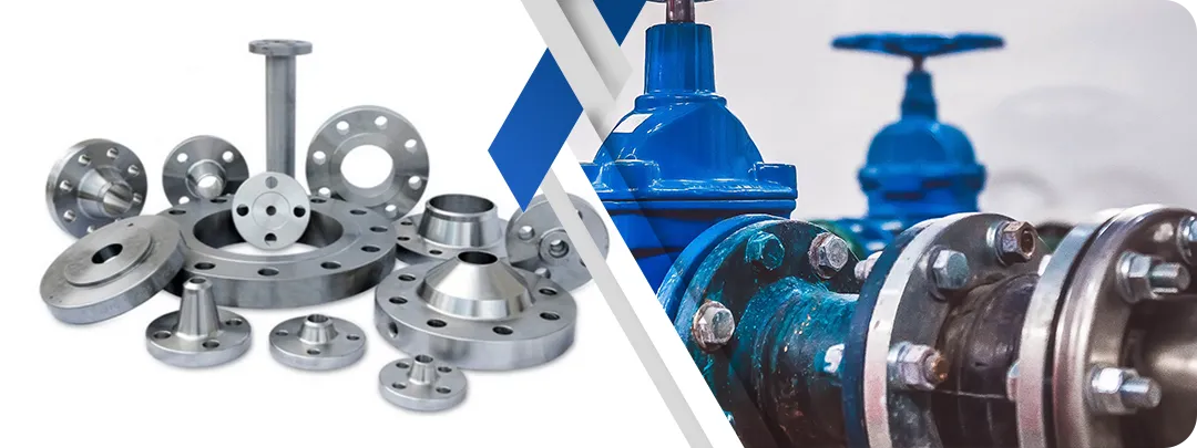 Duplex 2205 Stainless Steel Flanges